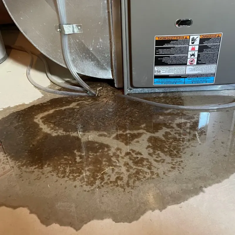 Pipe Burst and Leak Restoration in Chesterfield County, SC