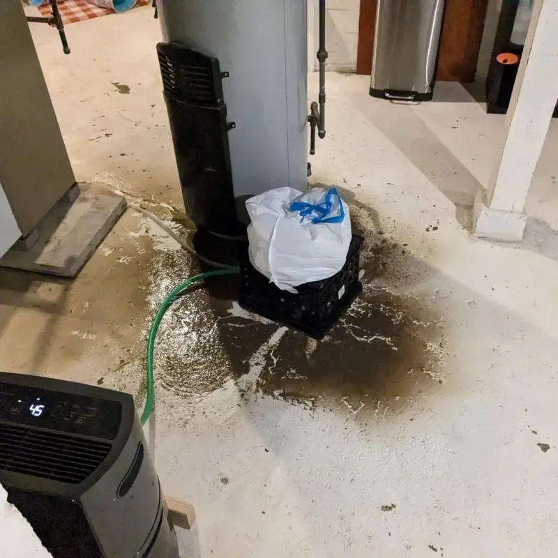 Sewage Backup Cleanup Service in Chesterfield County, SC
